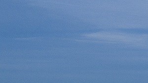 25 Best Luxury Apartments in Maitland, FL (with photos) | RENTCafé